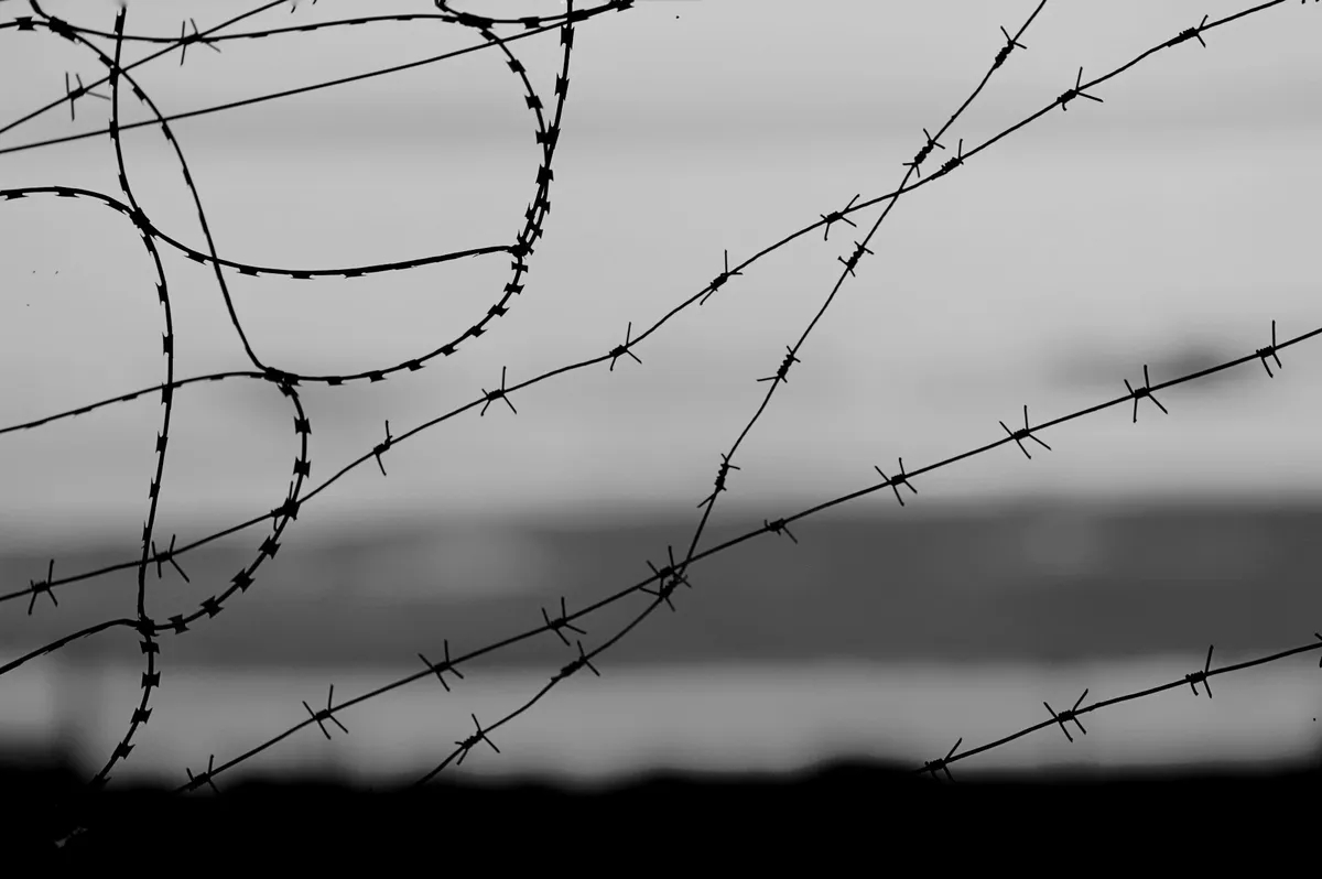 Фото: unsplash.com