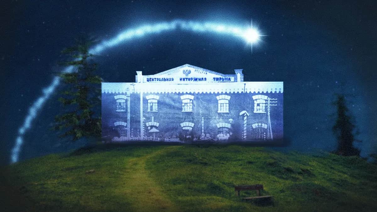 Иллюстрация: Анастасия Кшиштоф