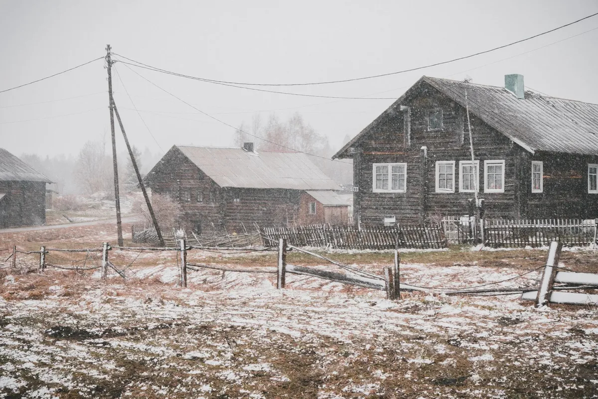 Фото: Артем Мальцев / unsplash.com