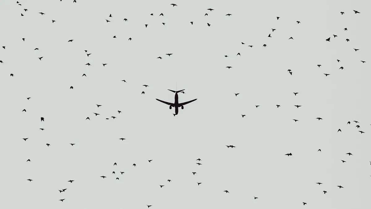 Фото: John Rodenn Castillo / Unsplash